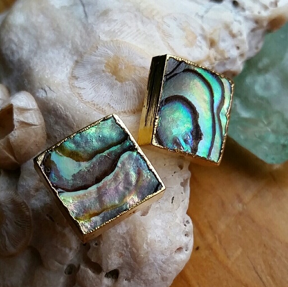 Natural Abalone Shell Earrings - Picture 5 of 8